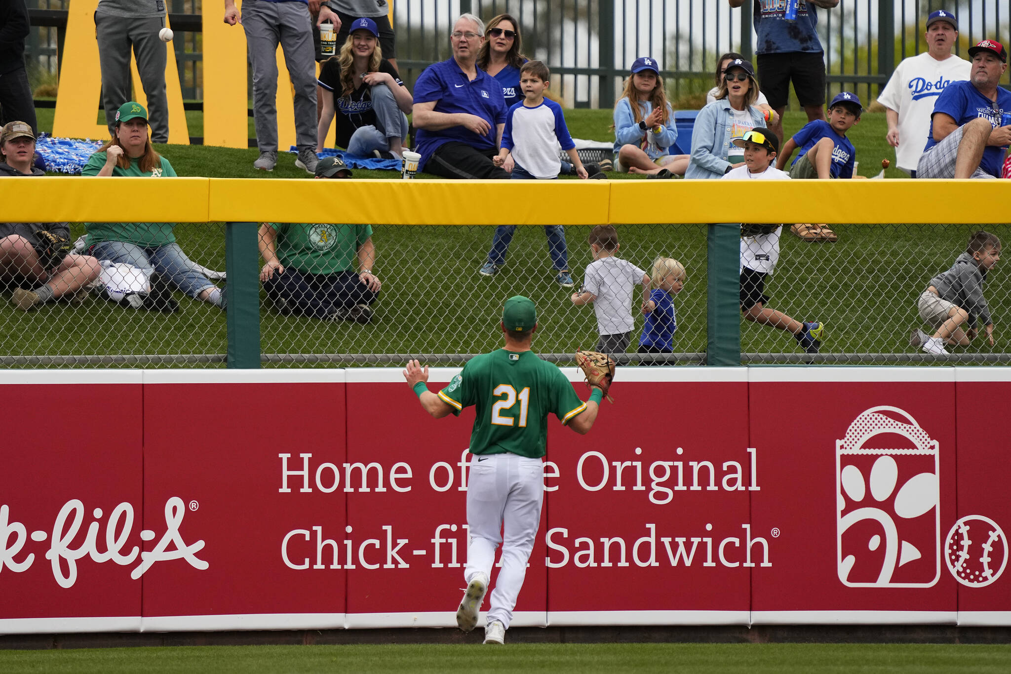 Oakland Athletics’ Conner Capel (21) watches a ground rule double hit by Los Angeles Dodgers’ Miguel Vargas bounce over the fence during the first inning of a spring training baseball game, Thursday, March 9, 2023, in Mesa, Ariz. (AP Photo/Matt York)