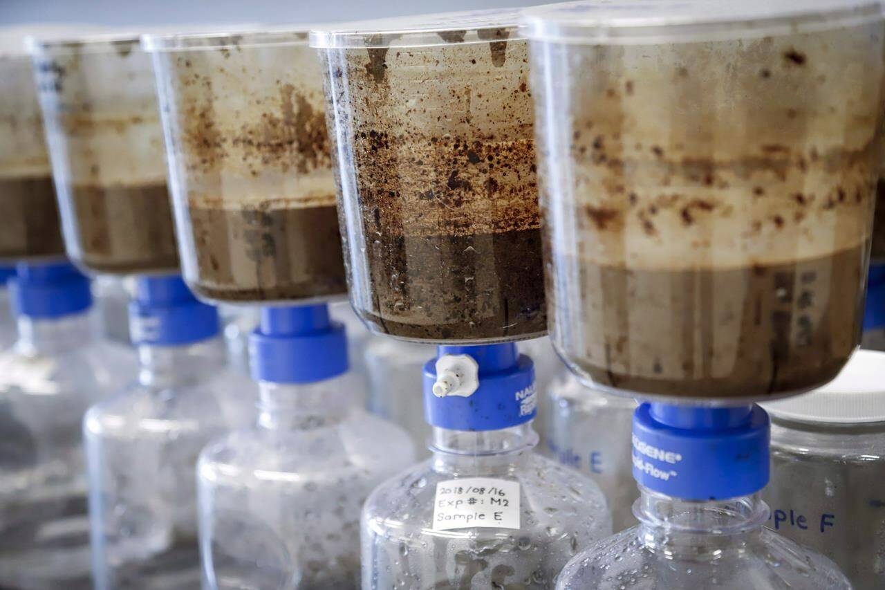 Tailings samples are being tested during a tour of Imperial’s oil sands research centre in Calgary, Alta., Tuesday, Aug. 28, 2018. Recent leaks of toxic tailings from northern Alberta oilsands mines have revealed serious flaws in how Canada and Alberta look after the environment, observers say. THE CANADIAN PRESS/Jeff McIntosh