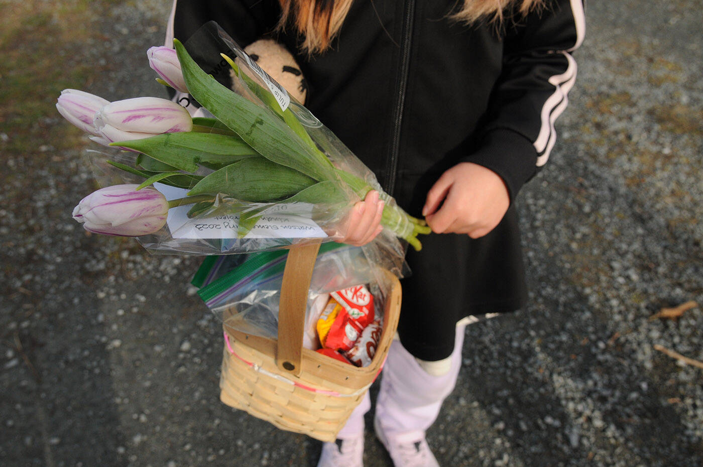 One student brought her own basket to carry goodies for Watson Elementary’s Kindness Project on Wednesday, March 15, 2023. (Jenna Hauck/ Chilliwack Progress)