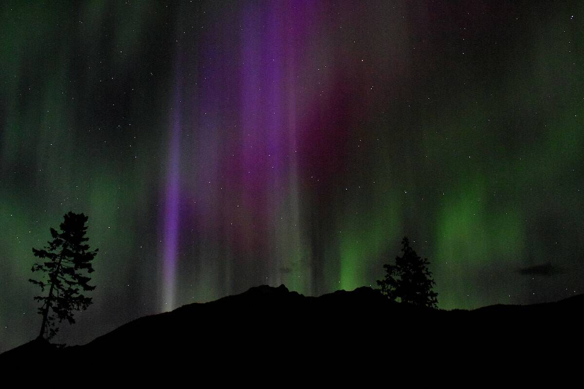 Trina Wolfenden captured this photo of the northern lights on March 23.